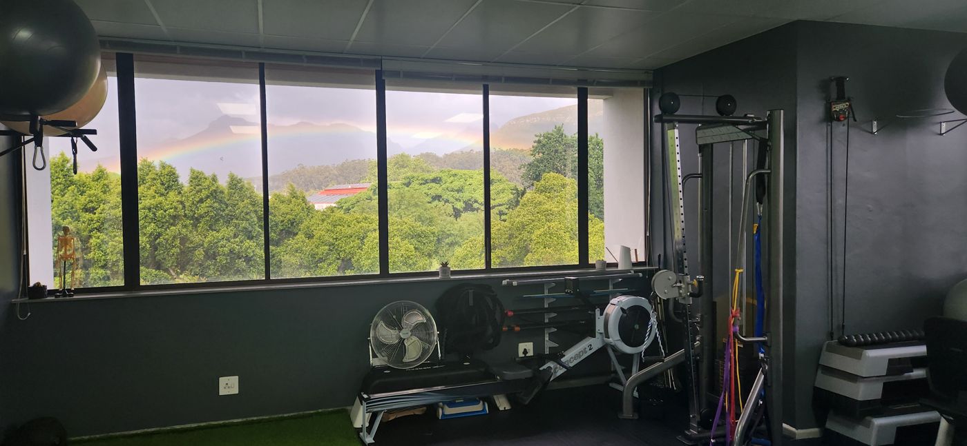 Derryn Holliday's biokinetics studio in Stellenbosch, looking out over the trees to the mountains
